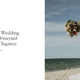 Illustration for article titled iVogue/i Unpublished a Story About a Potential Superspreader Wedding in Marthas Vineyard
